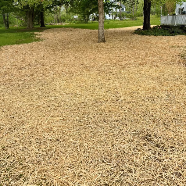 Lawn care and landscaping project by Tim's Outdoor Services