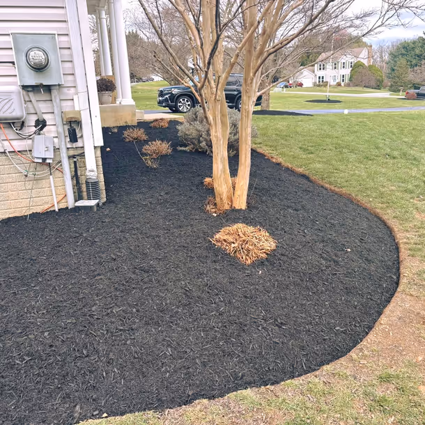 Lawn care and landscaping project by Tim's Outdoor Services